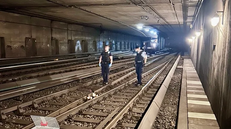 Entenfamilie gerettet, die den Hamburger S-Bahn-Verkehr zum Stillstand brachte