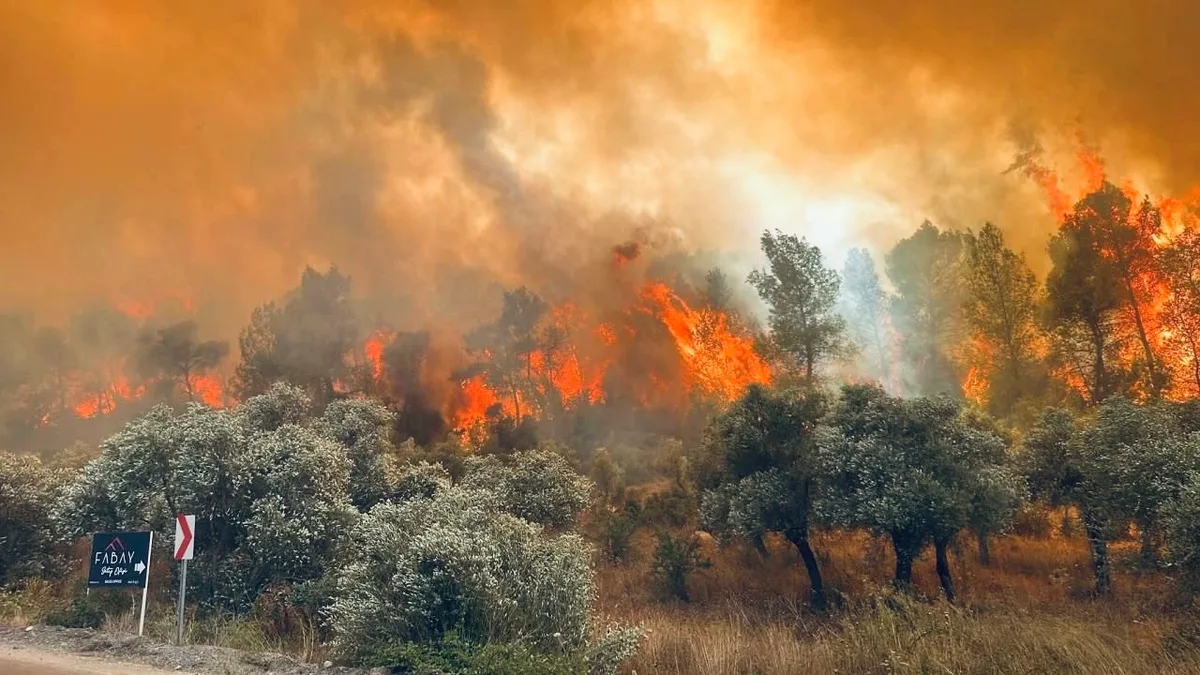 Orman yangınlarında küresel alarm