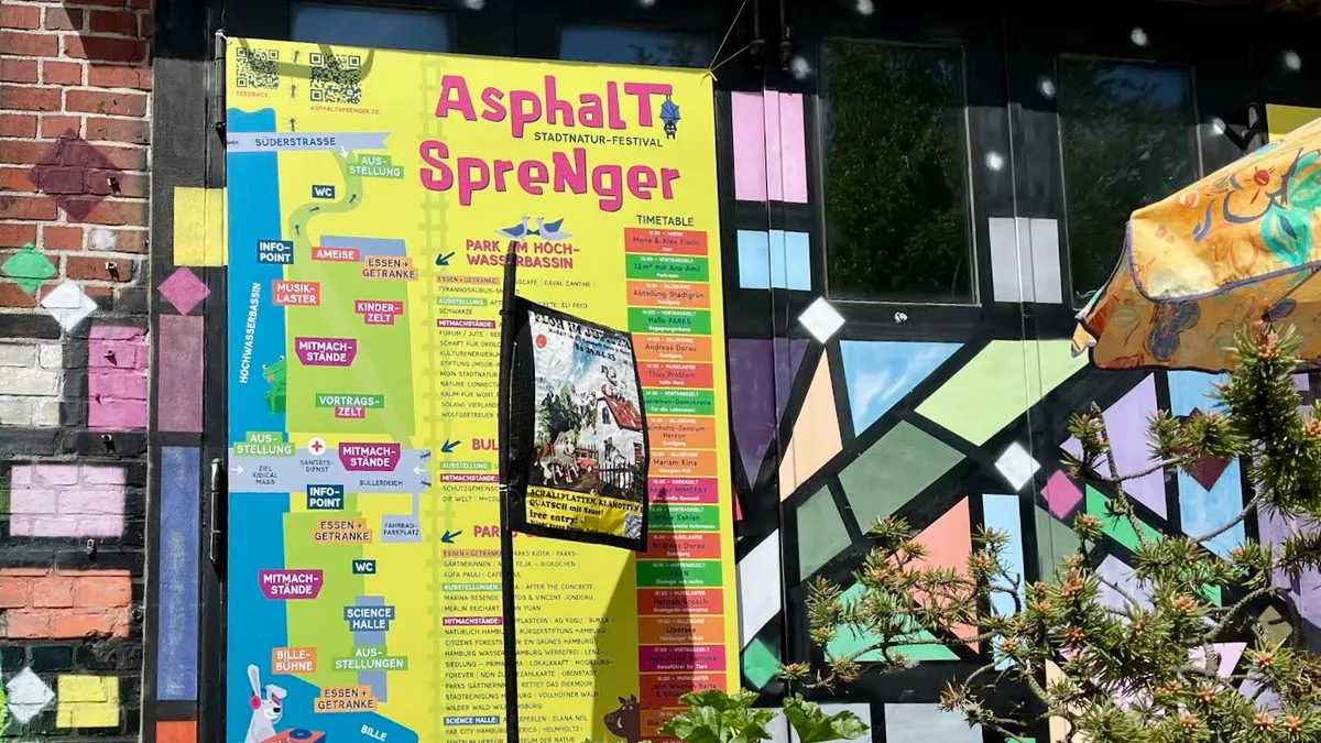 ASFALT PATLATAN ŞEHİR DOĞASI FESTİVALİ