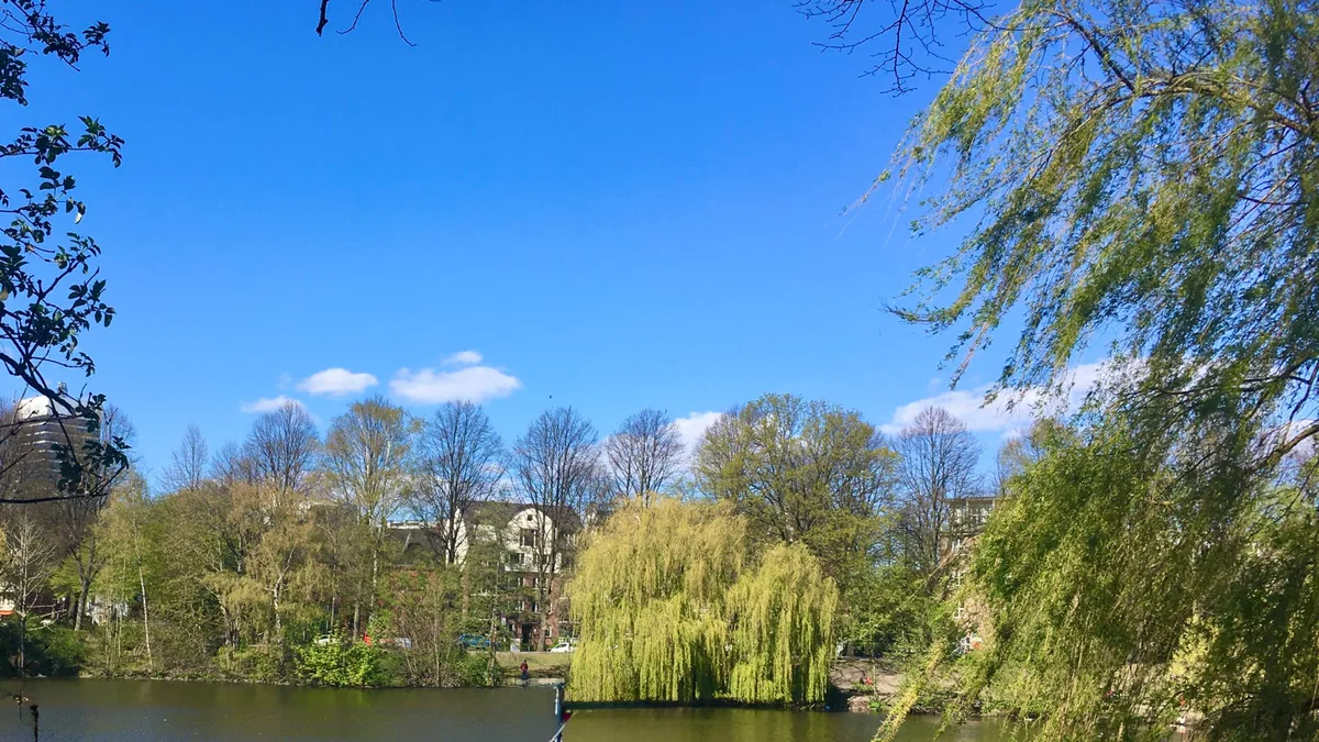 Hamburg, “Avrupa’nın Ağaçlar Şehri” Seçildi