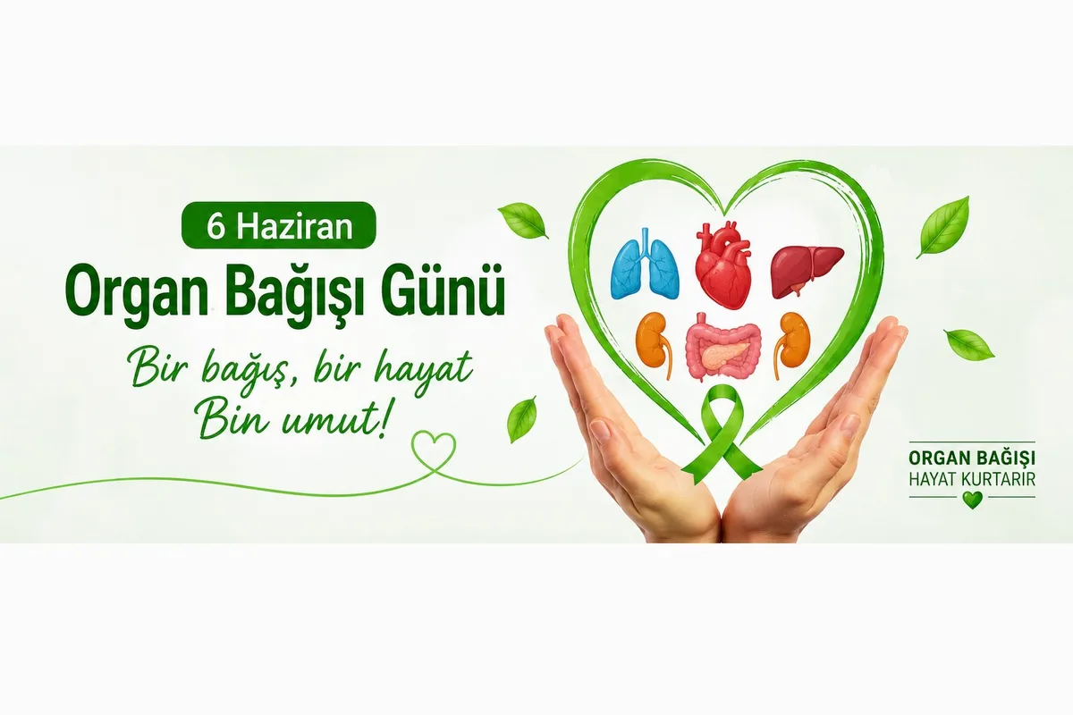 Almanya, Organ Bağışı Gününde Büyük Bir Dönüşüme Hazırlanıyor